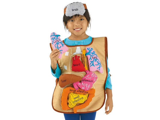 What’s Inside Me? Apron - US 9300