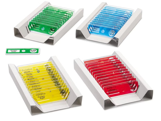 Prepared Slides - Complete Set - US 8004