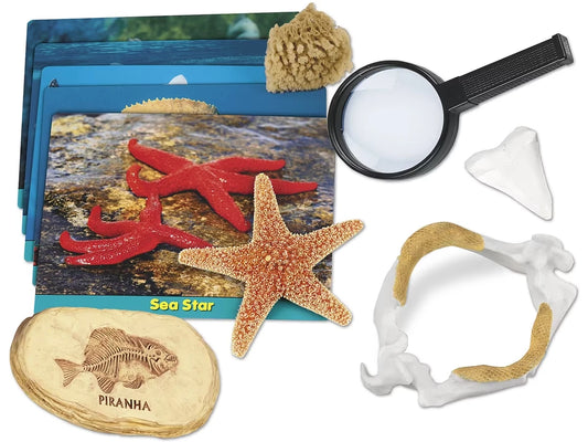 Sea Life Specimen Center - US 3335