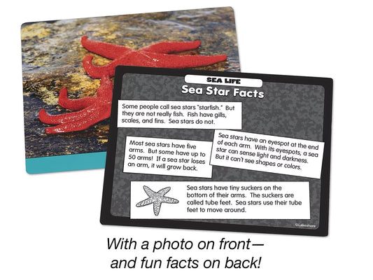 Sea Life Specimen Center - US 3335