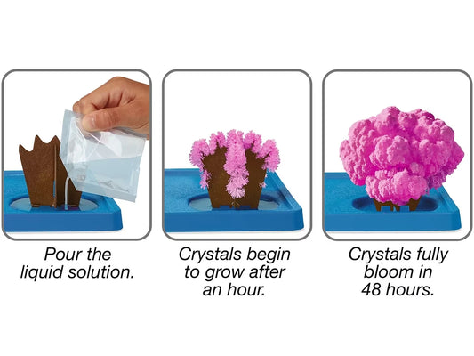 Sea Life Magic Crystal Growing Kit - US 8286