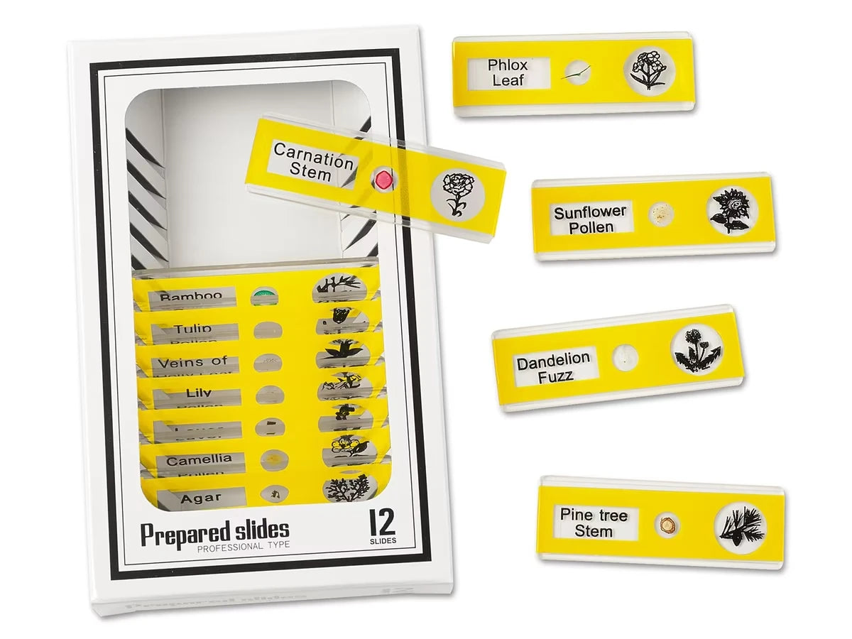 Plants Prepared Slide Kit - US 7098