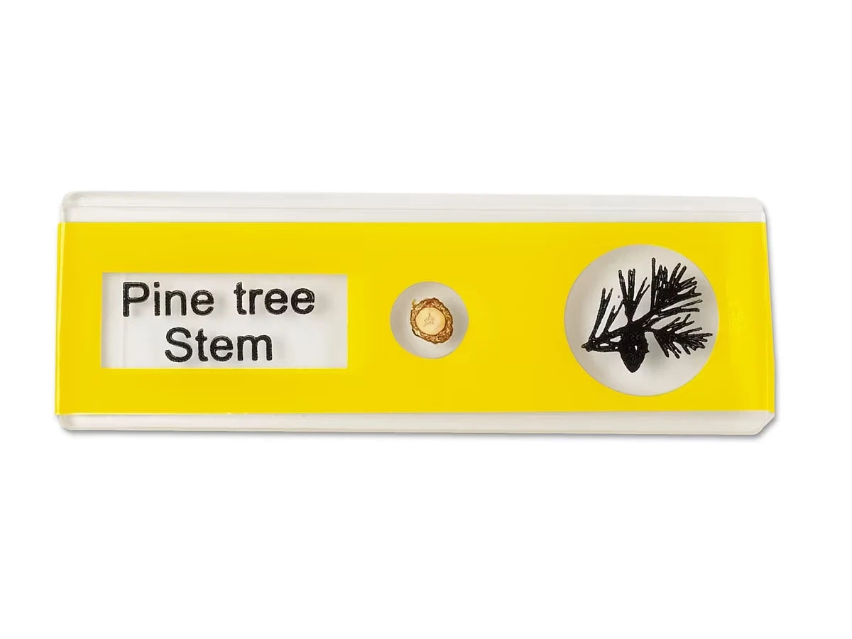 Plants Prepared Slide Kit - US 7098