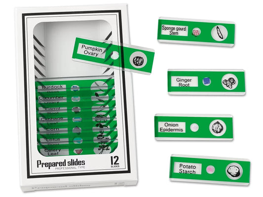 Vegetables Prepared Slide Kit - US 2477