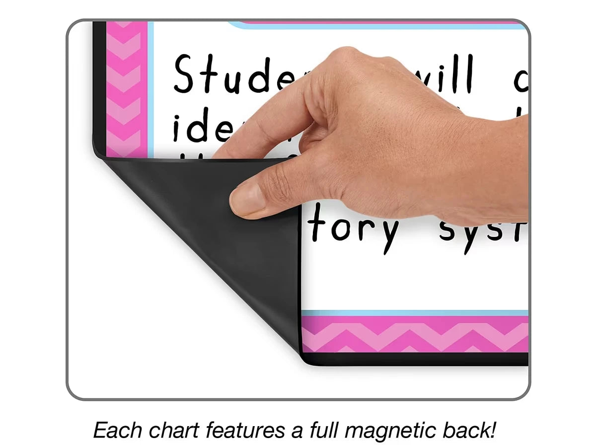 Magnetic Write & Wipe Organization Charts - US 1620