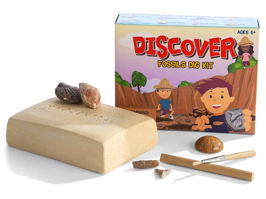 Fossil Excavation Kit - US 4090