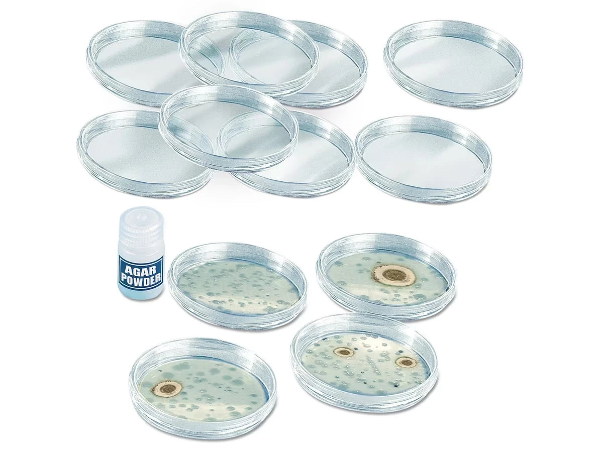 Growing Bacteria Classroom Kit - US 9964